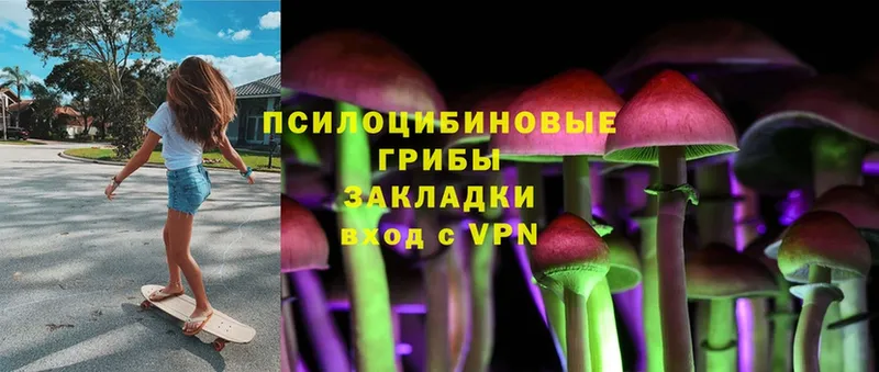 Галлюциногенные грибы Psilocybine cubensis  Павлово 